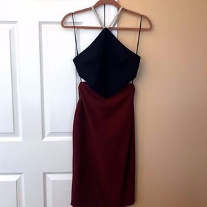 Elizabeth James Riza Colorblock Dress